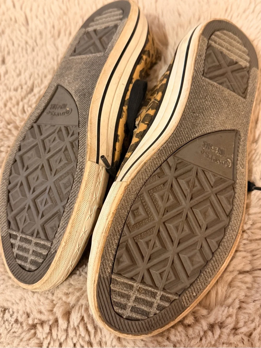 Cheetah converse